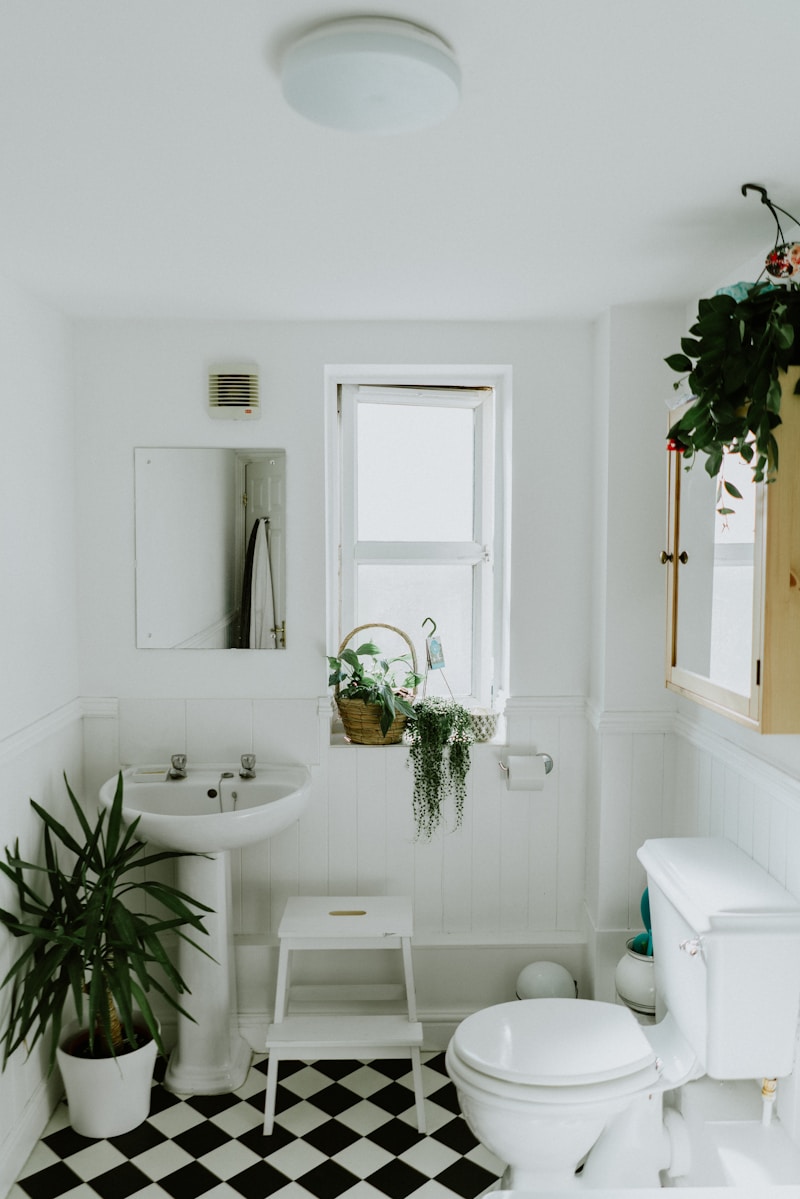 Renter Bathroom Upgrades